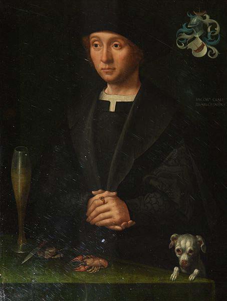 Jacob Claesz van Utrecht Member of the Alardes Family oil painting picture